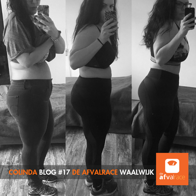 Blog 17