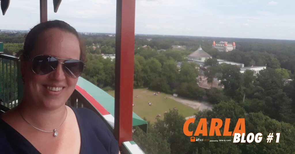 CARLA blog 1b