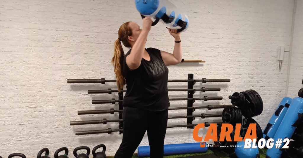 CARLA blog 2