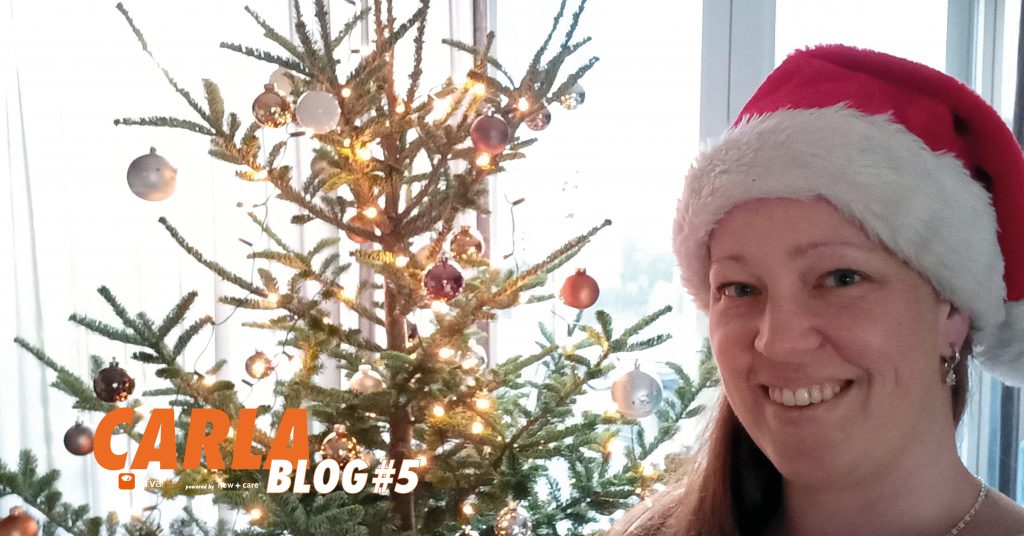 CARLA blog 5