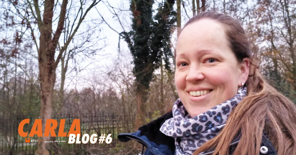 CARLA blog 6
